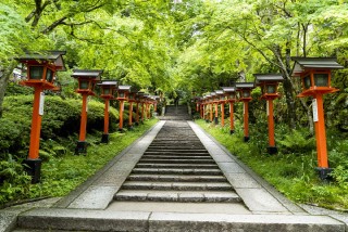 An ordered array of lamps running along a concrete stairway.